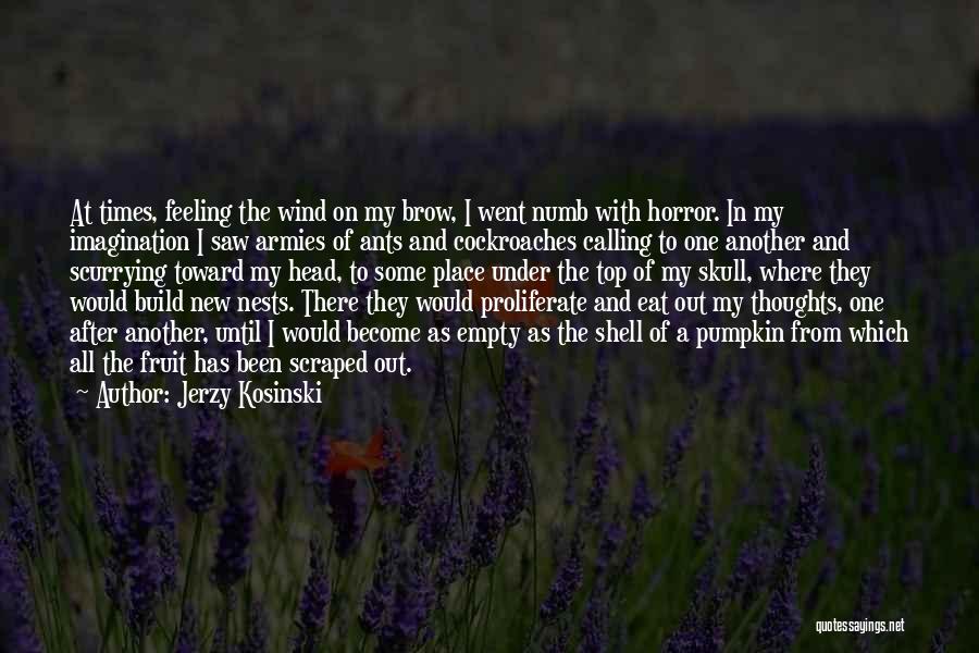 Jerzy Kosinski Quotes: At Times, Feeling The Wind On My Brow, I Went Numb With Horror. In My Imagination I Saw Armies Of