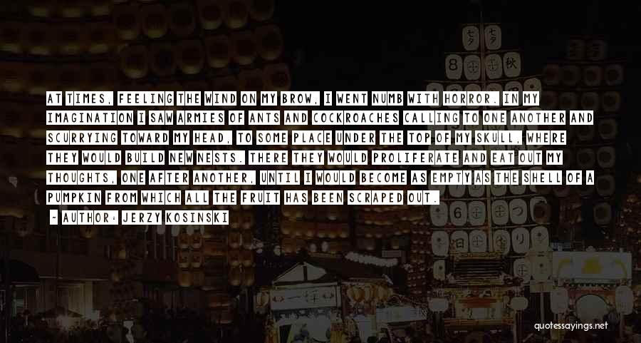 Jerzy Kosinski Quotes: At Times, Feeling The Wind On My Brow, I Went Numb With Horror. In My Imagination I Saw Armies Of