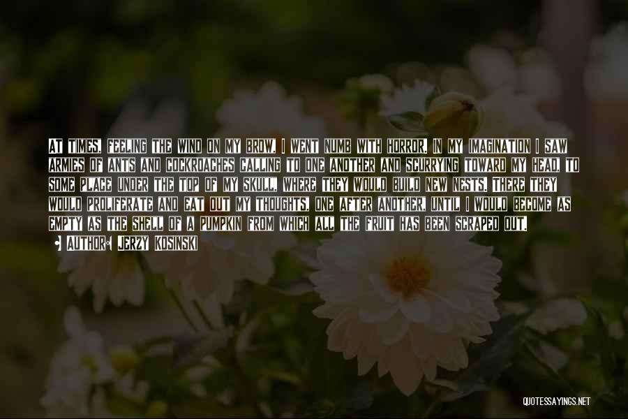 Jerzy Kosinski Quotes: At Times, Feeling The Wind On My Brow, I Went Numb With Horror. In My Imagination I Saw Armies Of