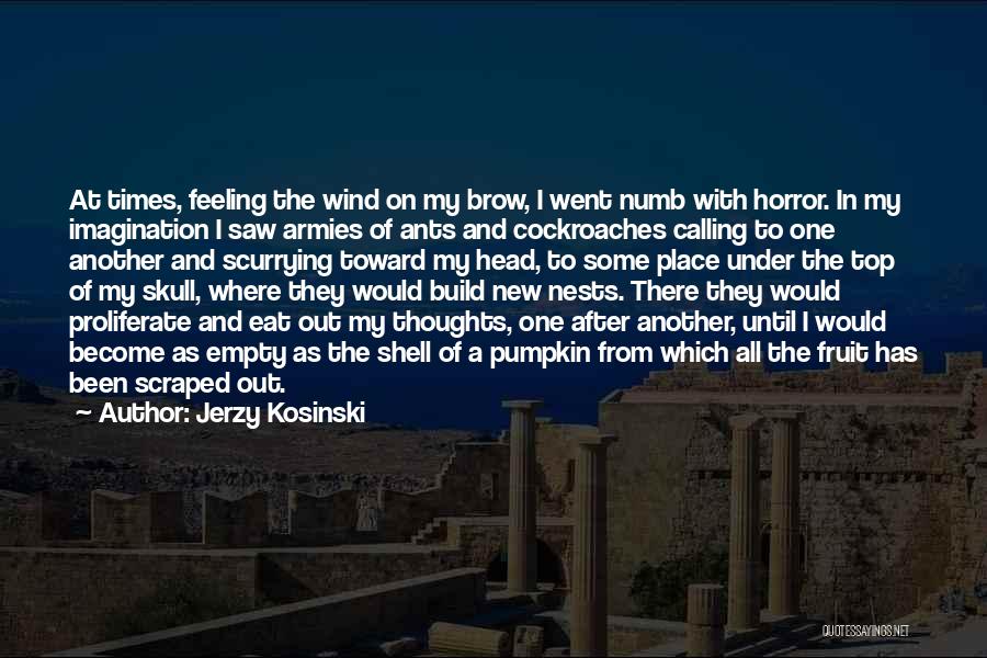 Jerzy Kosinski Quotes: At Times, Feeling The Wind On My Brow, I Went Numb With Horror. In My Imagination I Saw Armies Of