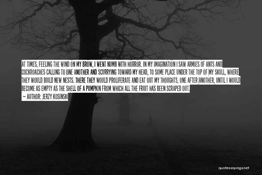 Jerzy Kosinski Quotes: At Times, Feeling The Wind On My Brow, I Went Numb With Horror. In My Imagination I Saw Armies Of