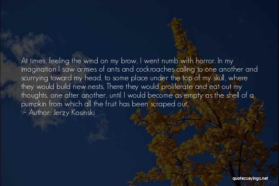 Jerzy Kosinski Quotes: At Times, Feeling The Wind On My Brow, I Went Numb With Horror. In My Imagination I Saw Armies Of