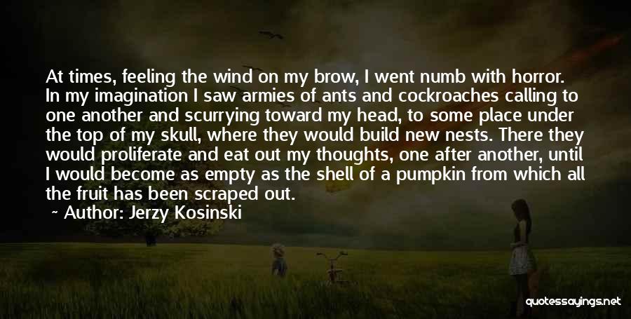 Jerzy Kosinski Quotes: At Times, Feeling The Wind On My Brow, I Went Numb With Horror. In My Imagination I Saw Armies Of