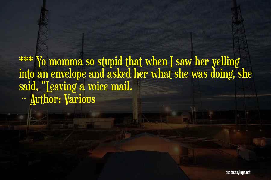 Various Quotes: *** Yo Momma So Stupid That When I Saw Her Yelling Into An Envelope And Asked Her What She Was