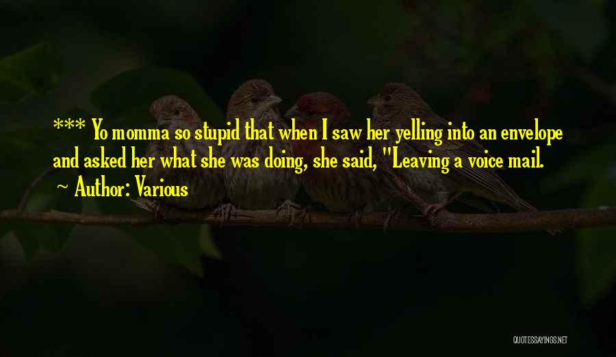 Various Quotes: *** Yo Momma So Stupid That When I Saw Her Yelling Into An Envelope And Asked Her What She Was