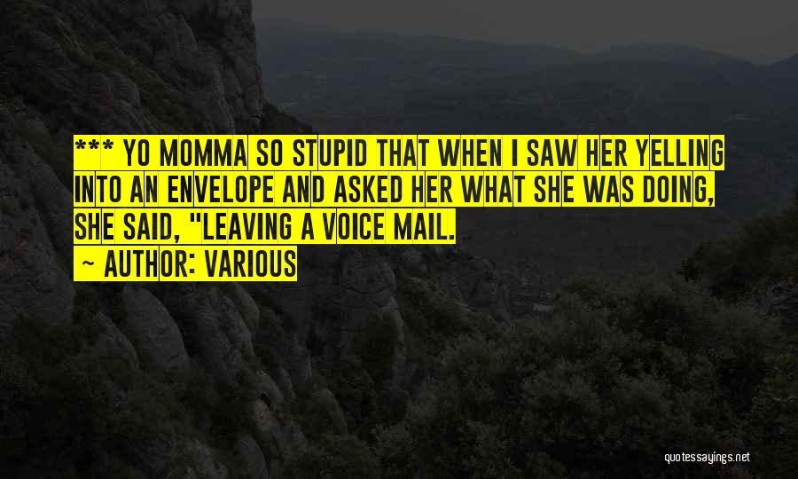 Various Quotes: *** Yo Momma So Stupid That When I Saw Her Yelling Into An Envelope And Asked Her What She Was