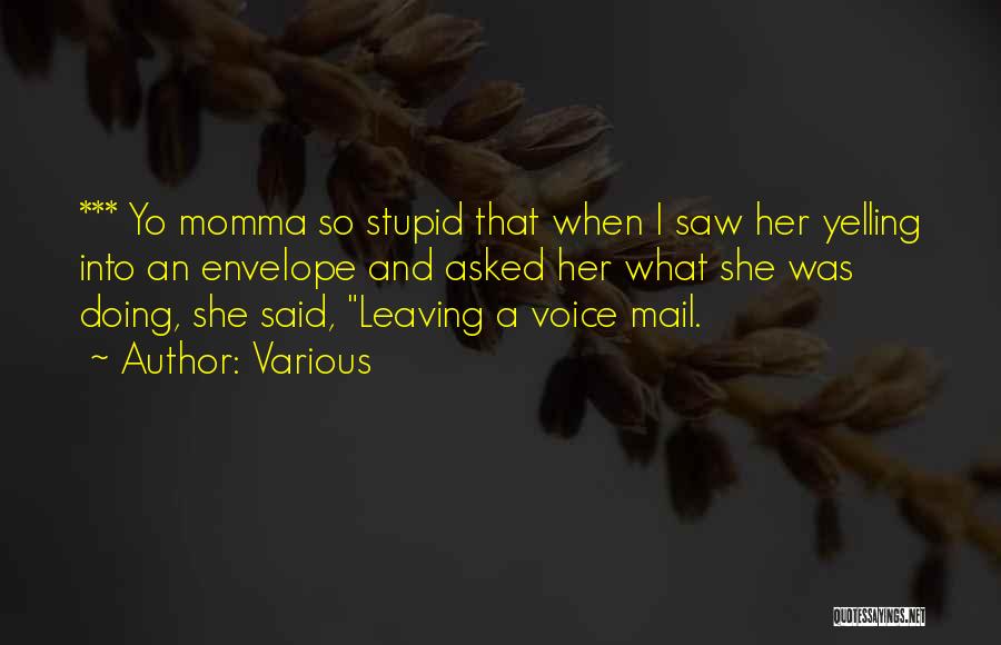 Various Quotes: *** Yo Momma So Stupid That When I Saw Her Yelling Into An Envelope And Asked Her What She Was