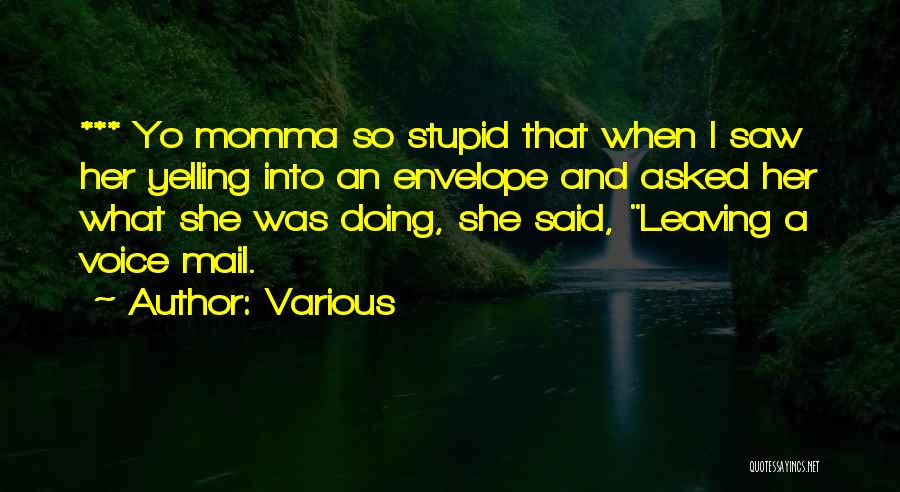 Various Quotes: *** Yo Momma So Stupid That When I Saw Her Yelling Into An Envelope And Asked Her What She Was