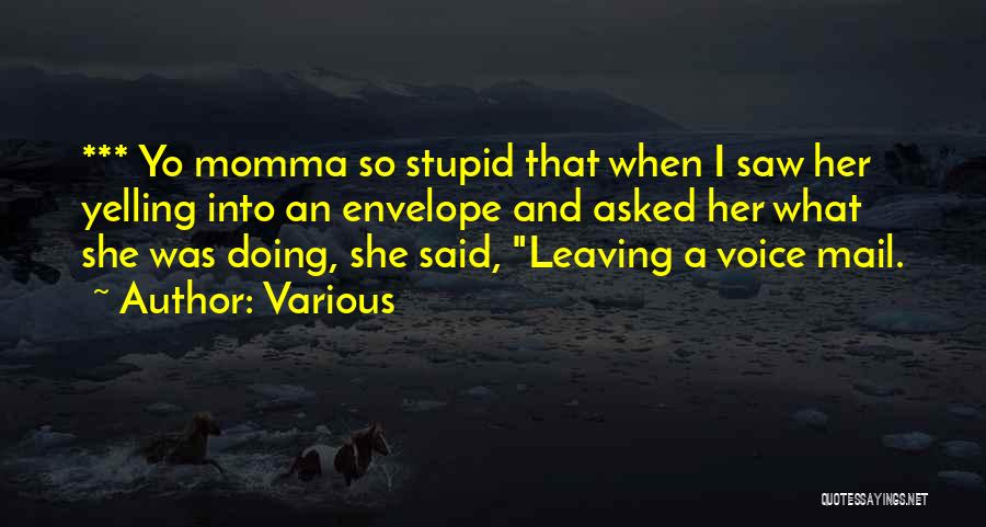 Various Quotes: *** Yo Momma So Stupid That When I Saw Her Yelling Into An Envelope And Asked Her What She Was