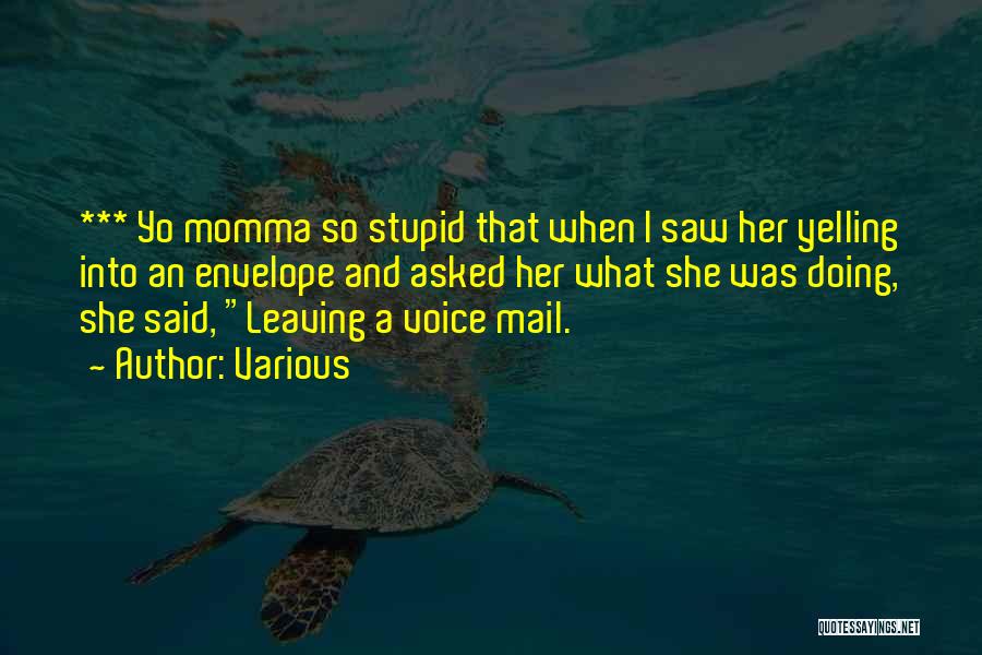 Various Quotes: *** Yo Momma So Stupid That When I Saw Her Yelling Into An Envelope And Asked Her What She Was