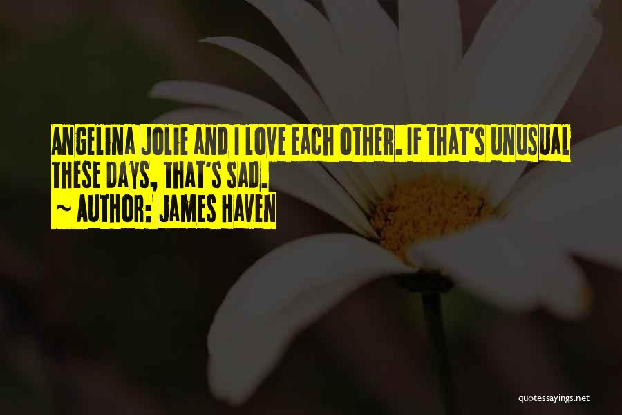 James Haven Quotes: Angelina Jolie And I Love Each Other. If That's Unusual These Days, That's Sad.