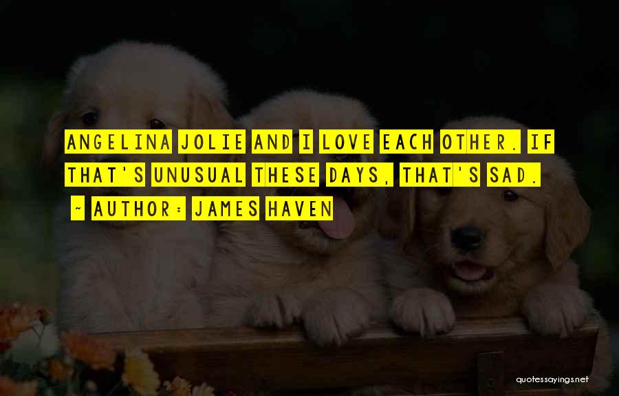 James Haven Quotes: Angelina Jolie And I Love Each Other. If That's Unusual These Days, That's Sad.