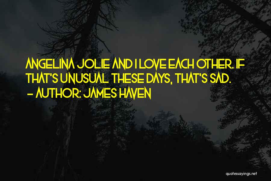 James Haven Quotes: Angelina Jolie And I Love Each Other. If That's Unusual These Days, That's Sad.