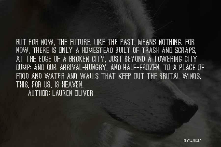 Lauren Oliver Quotes: But For Now, The Future, Like The Past, Means Nothing. For Now, There Is Only A Homestead Built Of Trash