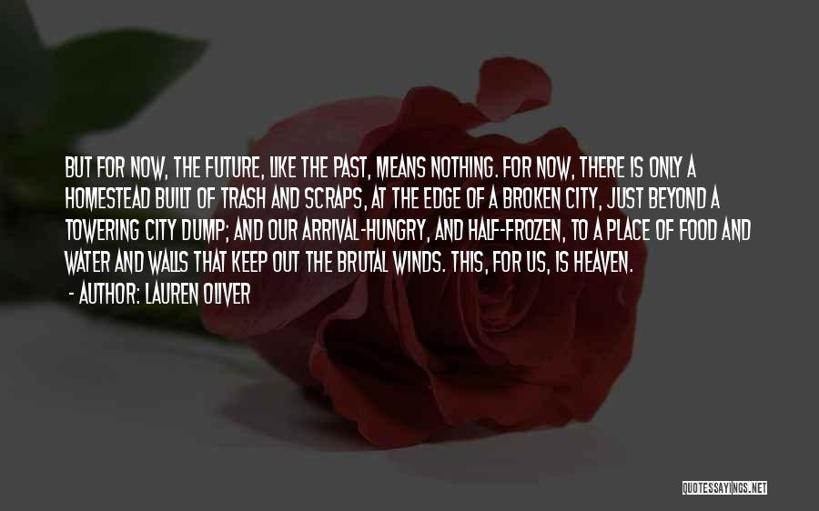 Lauren Oliver Quotes: But For Now, The Future, Like The Past, Means Nothing. For Now, There Is Only A Homestead Built Of Trash