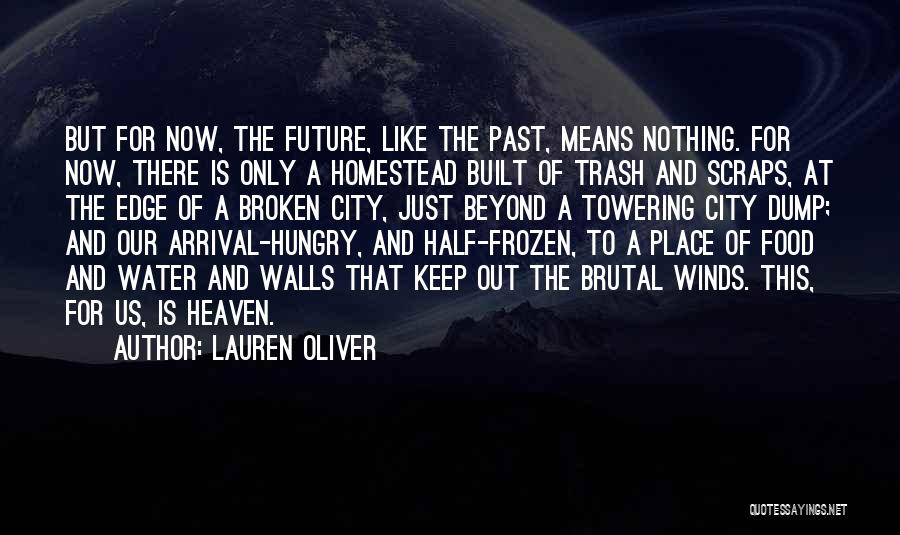 Lauren Oliver Quotes: But For Now, The Future, Like The Past, Means Nothing. For Now, There Is Only A Homestead Built Of Trash