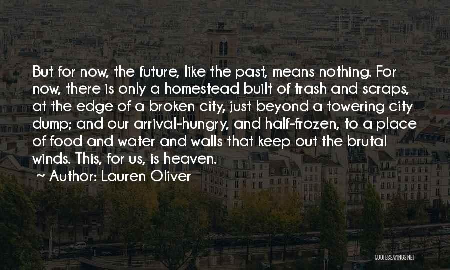 Lauren Oliver Quotes: But For Now, The Future, Like The Past, Means Nothing. For Now, There Is Only A Homestead Built Of Trash