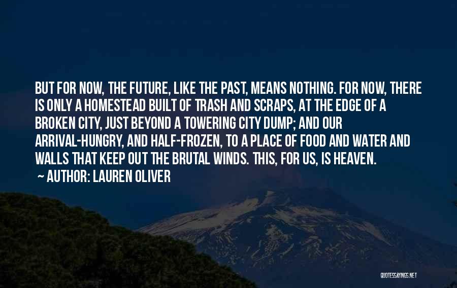 Lauren Oliver Quotes: But For Now, The Future, Like The Past, Means Nothing. For Now, There Is Only A Homestead Built Of Trash