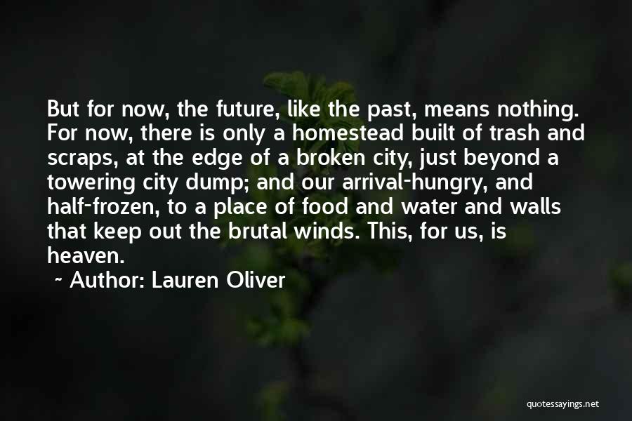 Lauren Oliver Quotes: But For Now, The Future, Like The Past, Means Nothing. For Now, There Is Only A Homestead Built Of Trash