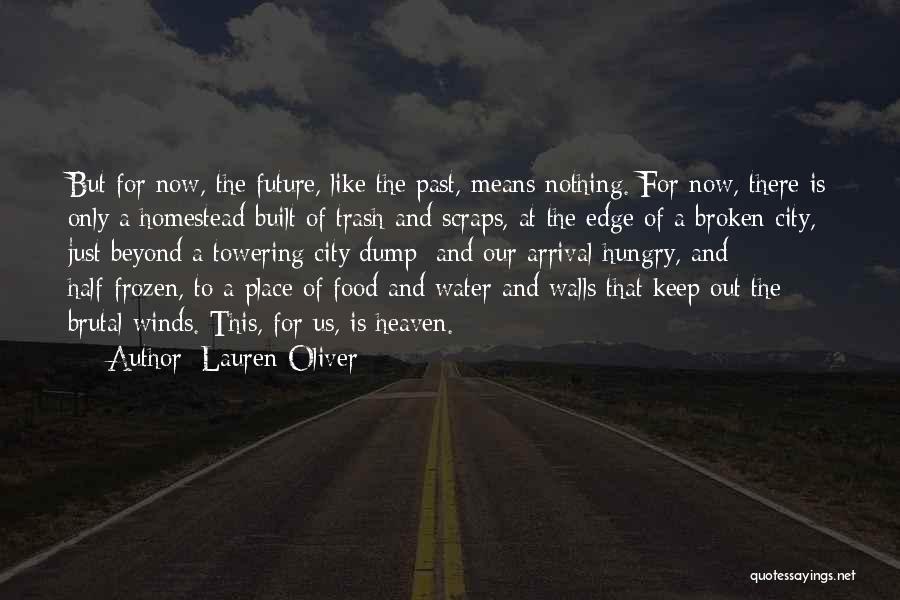 Lauren Oliver Quotes: But For Now, The Future, Like The Past, Means Nothing. For Now, There Is Only A Homestead Built Of Trash
