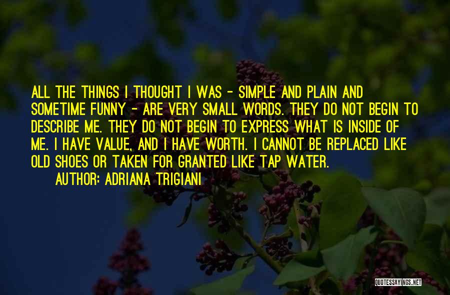 Adriana Trigiani Quotes: All The Things I Thought I Was - Simple And Plain And Sometime Funny - Are Very Small Words. They