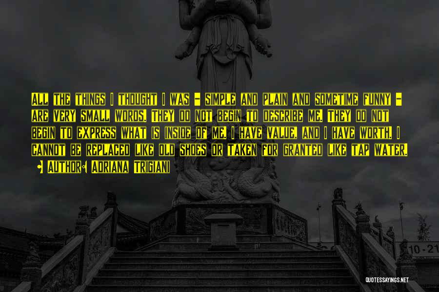 Adriana Trigiani Quotes: All The Things I Thought I Was - Simple And Plain And Sometime Funny - Are Very Small Words. They
