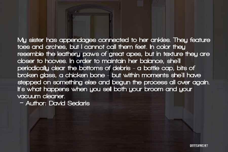 David Sedaris Quotes: My Sister Has Appendages Connected To Her Ankles. They Feature Toes And Arches, But I Cannot Call Them Feet. In