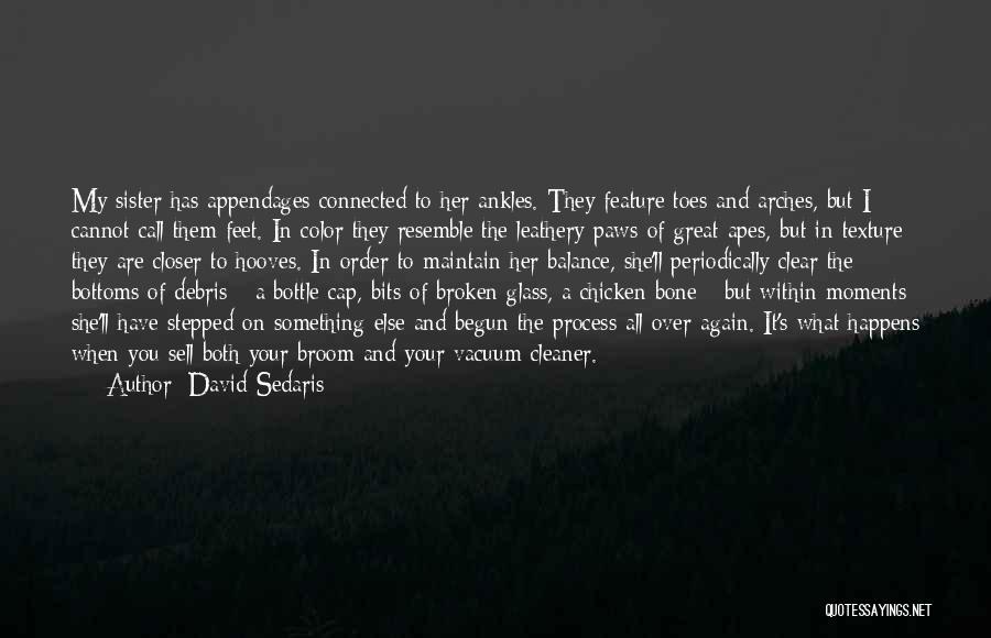 David Sedaris Quotes: My Sister Has Appendages Connected To Her Ankles. They Feature Toes And Arches, But I Cannot Call Them Feet. In