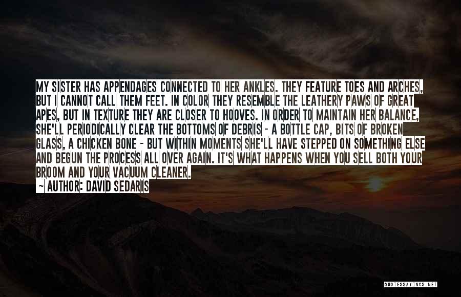 David Sedaris Quotes: My Sister Has Appendages Connected To Her Ankles. They Feature Toes And Arches, But I Cannot Call Them Feet. In