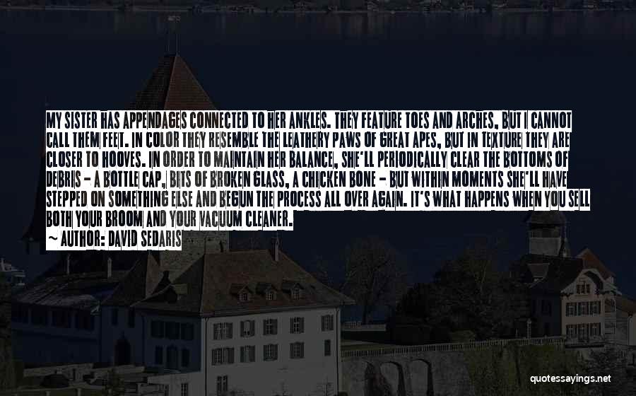 David Sedaris Quotes: My Sister Has Appendages Connected To Her Ankles. They Feature Toes And Arches, But I Cannot Call Them Feet. In