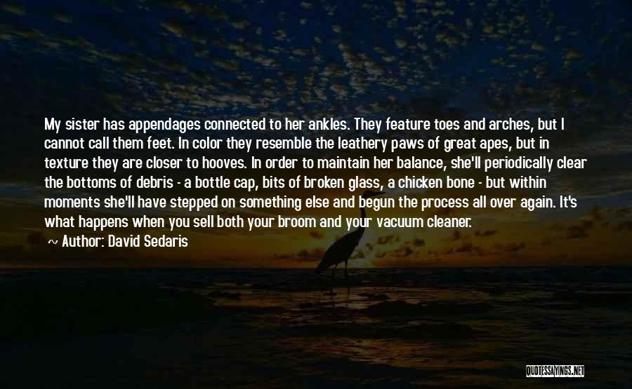 David Sedaris Quotes: My Sister Has Appendages Connected To Her Ankles. They Feature Toes And Arches, But I Cannot Call Them Feet. In