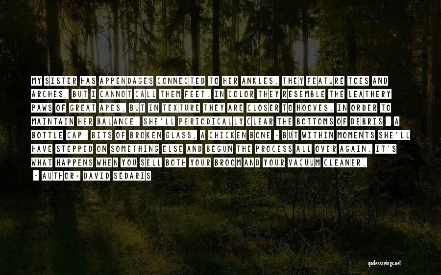 David Sedaris Quotes: My Sister Has Appendages Connected To Her Ankles. They Feature Toes And Arches, But I Cannot Call Them Feet. In
