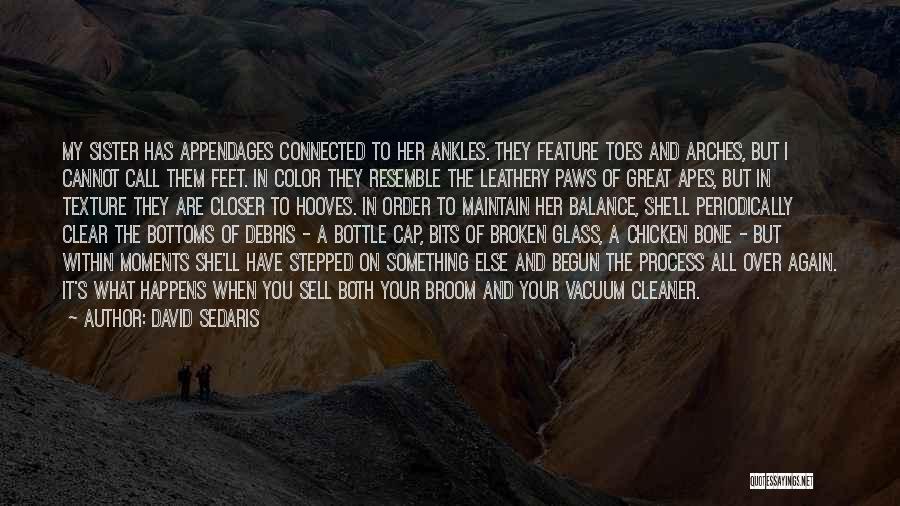 David Sedaris Quotes: My Sister Has Appendages Connected To Her Ankles. They Feature Toes And Arches, But I Cannot Call Them Feet. In