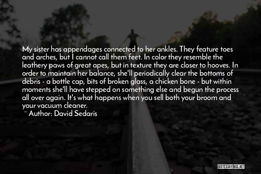 David Sedaris Quotes: My Sister Has Appendages Connected To Her Ankles. They Feature Toes And Arches, But I Cannot Call Them Feet. In