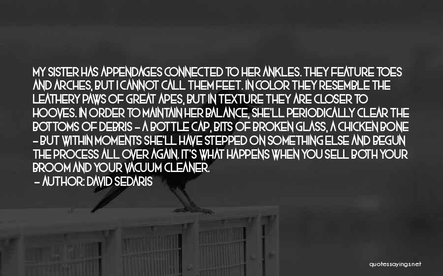David Sedaris Quotes: My Sister Has Appendages Connected To Her Ankles. They Feature Toes And Arches, But I Cannot Call Them Feet. In