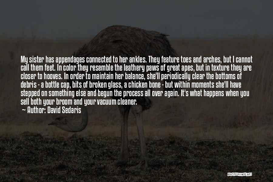 David Sedaris Quotes: My Sister Has Appendages Connected To Her Ankles. They Feature Toes And Arches, But I Cannot Call Them Feet. In