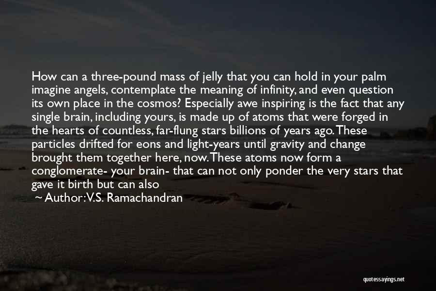 V.S. Ramachandran Quotes: How Can A Three-pound Mass Of Jelly That You Can Hold In Your Palm Imagine Angels, Contemplate The Meaning Of