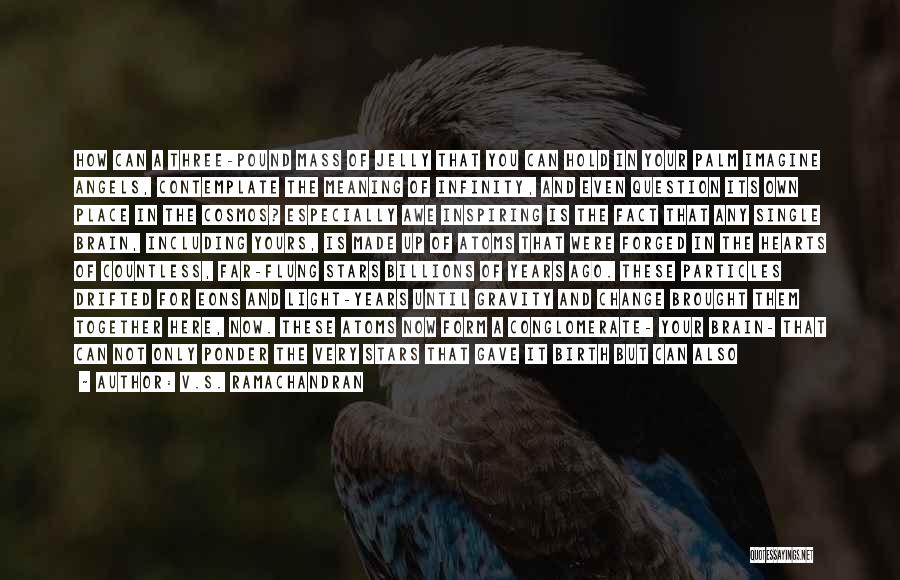 V.S. Ramachandran Quotes: How Can A Three-pound Mass Of Jelly That You Can Hold In Your Palm Imagine Angels, Contemplate The Meaning Of