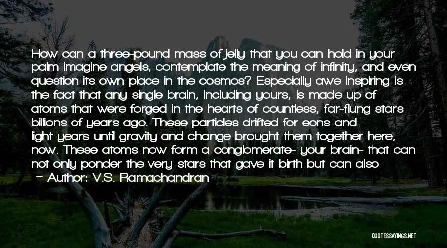 V.S. Ramachandran Quotes: How Can A Three-pound Mass Of Jelly That You Can Hold In Your Palm Imagine Angels, Contemplate The Meaning Of