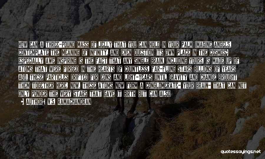 V.S. Ramachandran Quotes: How Can A Three-pound Mass Of Jelly That You Can Hold In Your Palm Imagine Angels, Contemplate The Meaning Of