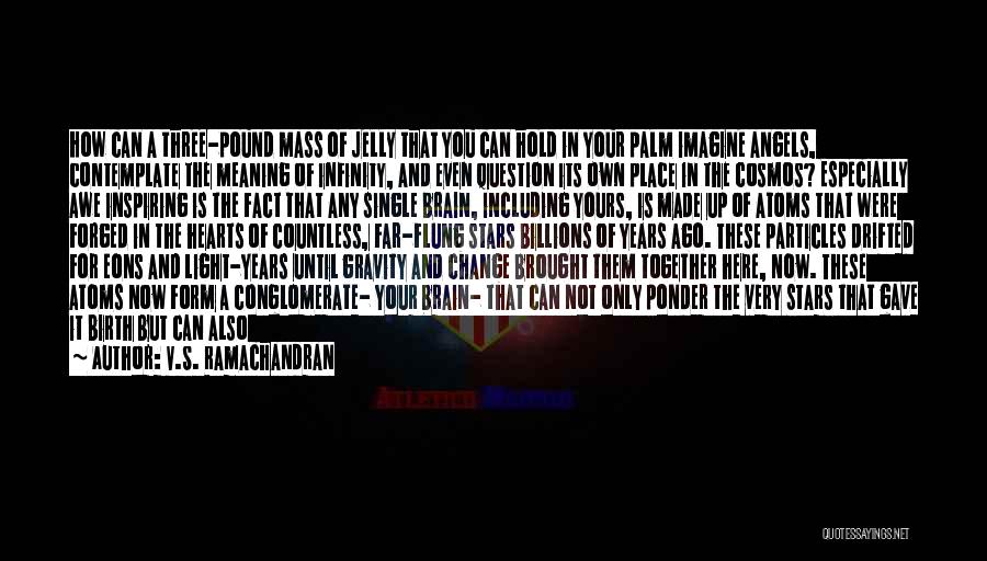 V.S. Ramachandran Quotes: How Can A Three-pound Mass Of Jelly That You Can Hold In Your Palm Imagine Angels, Contemplate The Meaning Of