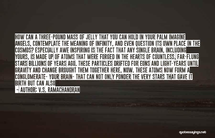 V.S. Ramachandran Quotes: How Can A Three-pound Mass Of Jelly That You Can Hold In Your Palm Imagine Angels, Contemplate The Meaning Of