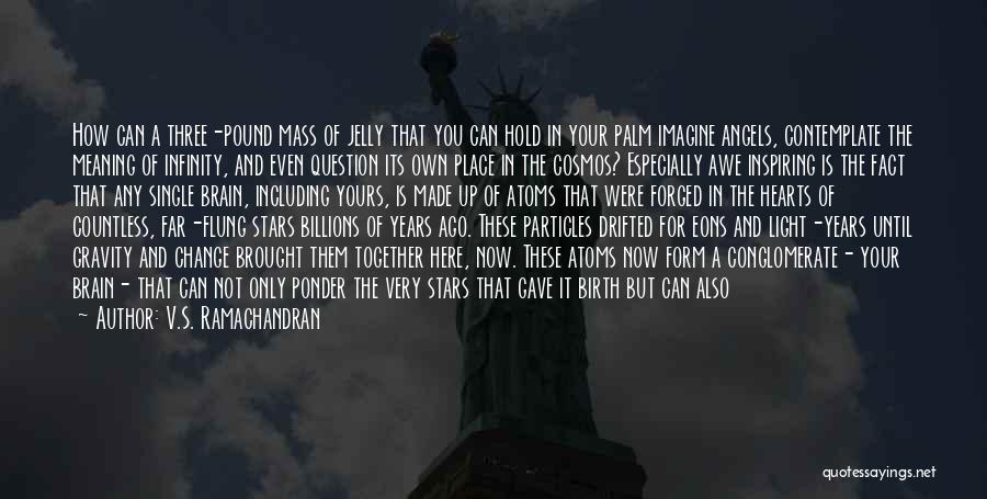 V.S. Ramachandran Quotes: How Can A Three-pound Mass Of Jelly That You Can Hold In Your Palm Imagine Angels, Contemplate The Meaning Of