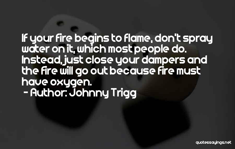 Johnny Trigg Quotes: If Your Fire Begins To Flame, Don't Spray Water On It, Which Most People Do. Instead, Just Close Your Dampers