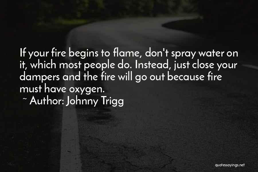 Johnny Trigg Quotes: If Your Fire Begins To Flame, Don't Spray Water On It, Which Most People Do. Instead, Just Close Your Dampers