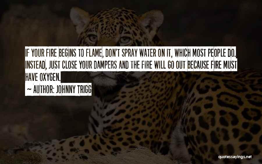 Johnny Trigg Quotes: If Your Fire Begins To Flame, Don't Spray Water On It, Which Most People Do. Instead, Just Close Your Dampers