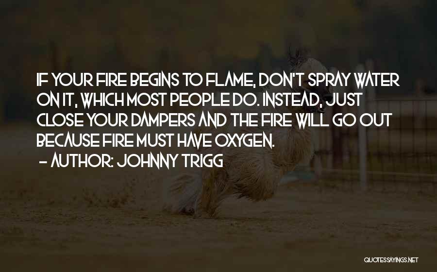 Johnny Trigg Quotes: If Your Fire Begins To Flame, Don't Spray Water On It, Which Most People Do. Instead, Just Close Your Dampers