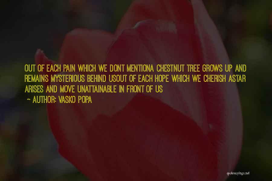 Vasko Popa Quotes: Out Of Each Pain Which We Dont Mentiona Chestnut Tree Grows Up And Remains Mysterious Behind Usout Of Each Hope