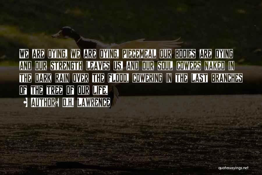 D.H. Lawrence Quotes: We Are Dying, We Are Dying, Piecemeal Our Bodies Are Dying And Our Strength Leaves Us, And Our Soul Cowers