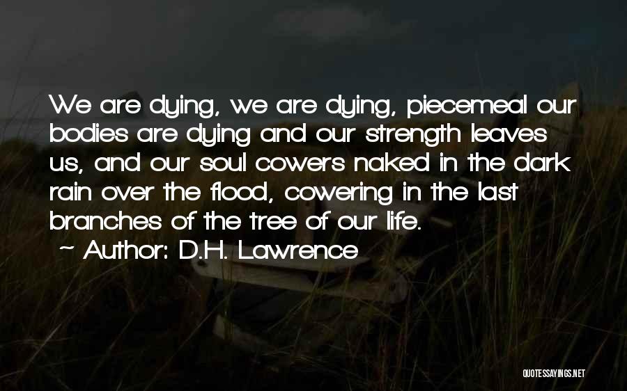 D.H. Lawrence Quotes: We Are Dying, We Are Dying, Piecemeal Our Bodies Are Dying And Our Strength Leaves Us, And Our Soul Cowers